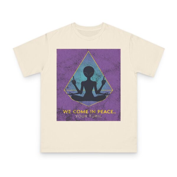 Cosmic Zen